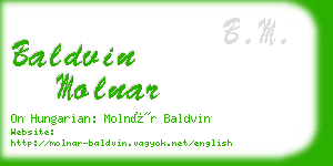 baldvin molnar business card